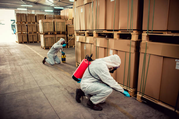 Best Wasp Removal Services  in Wenona, IL