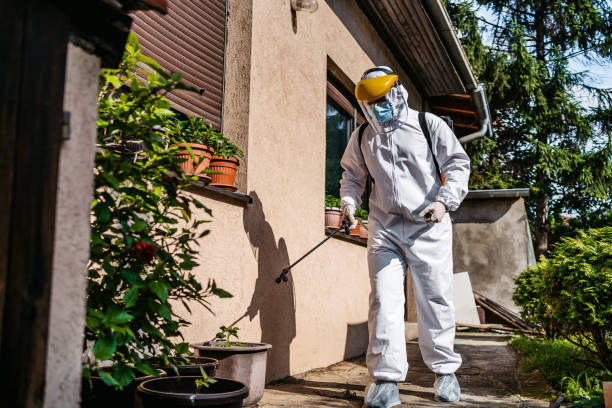 Professional Pest Control in Wenona, IL