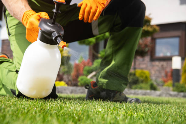 Best Emergency Pest Control  in Wenona, IL
