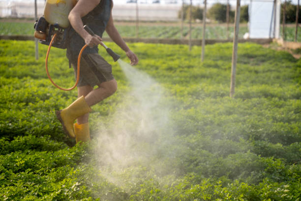 Best Commercial Pest Control Services  in Wenona, IL