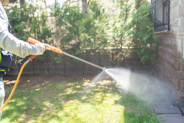 Best Wildlife Control Services  in Wenona, IL