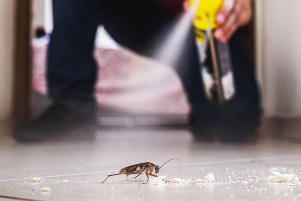 Best Mosquito Control Services  in Wenona, IL