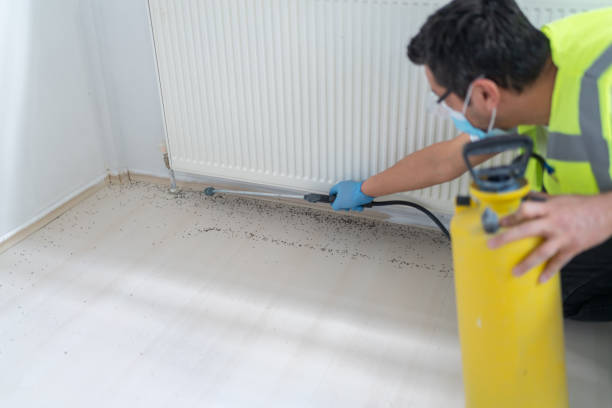 Best Ant Control Services  in Wenona, IL