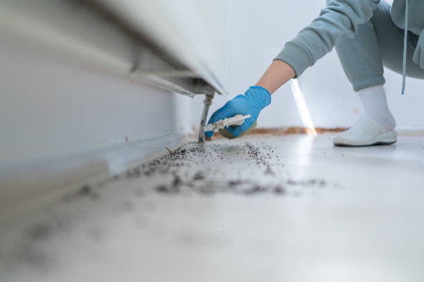 Best Pest Prevention Services  in Wenona, IL